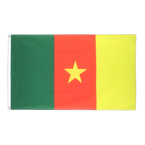 Флаг Камеруна купить в Мурманске с доставкой