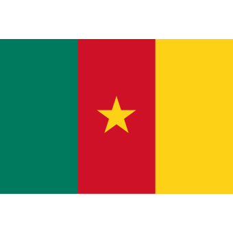 Флаг Камеруна