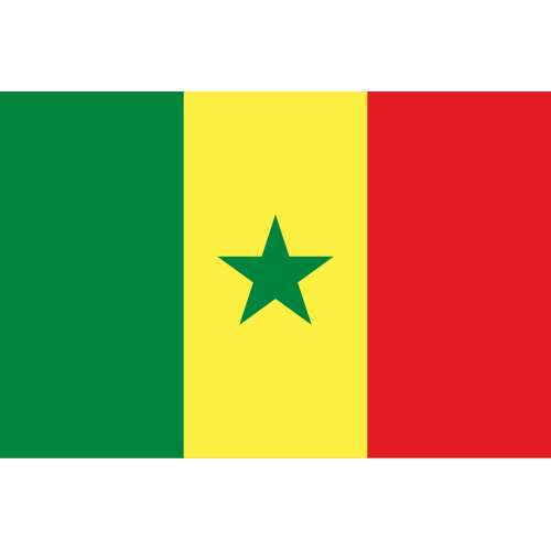 Флаг Сенегала купить в Мурманске с доставкой