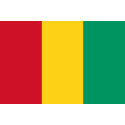 Флаг Гвинеи купить в Мурманске с доставкой